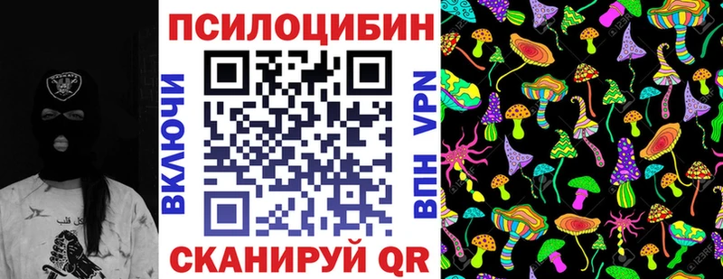 Галлюциногенные грибы Cubensis  цены наркотик  Подпорожье 