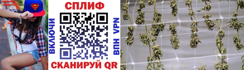 Бошки марихуана тримм  Подпорожье 
